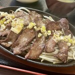 炭焼きびすとろ 肉たらし - アップ