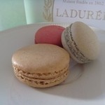 パティスリー プラン - ラデュレとの比較(奥二つがプラン)