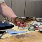 美味いもん屋 わ多なべ - 巨大海老だー！