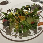 レフェルヴェソンス - 