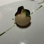 レフェルヴェソンス - 