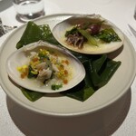 レフェルヴェソンス - 