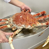ウシマル - 鯛ノ浦産 タカアシガニ