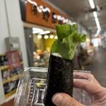 野田商店 - レタス巻　¥220