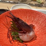 梅 - ぶどうエビ