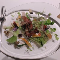 レフェルヴェソンス - 