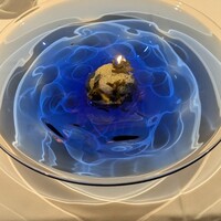 ニシデリア - 