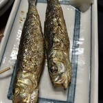 もつ焼きマーちゃん - 