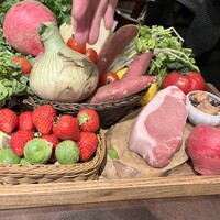 オッジ ダルマット 西麻布店 - 