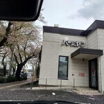 Bamiyan Kunitachi Yagawa Ten - Cherry Blossom Petals on the Car