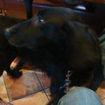 カフェ・ミケランジェロ