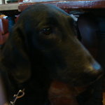 カフェ・ミケランジェロ - 2009/12 大晦日