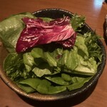 生粋 - サラダ