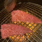 生粋 - 赤身（シンシン