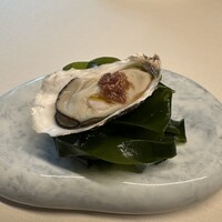 TACUBO - 