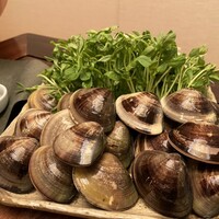 桑名蛤料理・蛤しゃぶしゃぶ 貝新 - 蛤しゃぶしゃぶ4人前