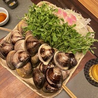 桑名蛤料理・蛤しゃぶしゃぶ 貝新 - 粒大きさは普通ぐらいでしょうか。