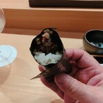 恵比寿 えんどう - ほたるいかのなめろう仕立て