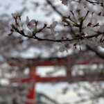 カフェ・ヴィヴモン・ディモンシュ - 