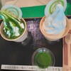 お～いお茶 ミュージアム