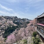 如意輪寺　お茶処 - 