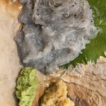 漁師酒場あらき バルチカ03店 - 生シラスもこの量で500円ほど