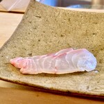 鮨おばな - その日は三重のハタからスタートです♫ 塩でいきます。