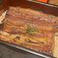 新宿うな鐵 はなれ -  新宿うな鐵 はなれ -