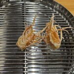 てんぷら 下村 - 車海老足