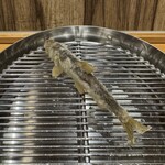 てんぷら 下村 - 稚鮎（千葉）