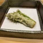 和旬 いまよし - タラの芽