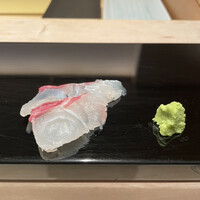鮨 木島 - 真鯛の刺身　身がプリップリ