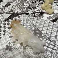 鮨 木島 - イカの握り　超絶美味！