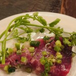 Azzurro520 - イタリアの伊達男　カツオ君