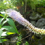 上高地ルミエスタホテル - 上高地