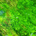 上高地ルミエスタホテル - 上高地