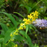 上高地ルミエスタホテル - 上高地