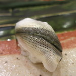 治鮨 - 26年7月　新子