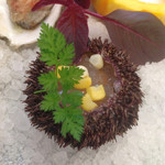 ビストロ ダイア - 