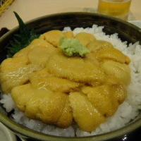 函館うに むらかみ 日本生命札幌ビル店 - うに丼