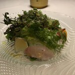 銀座あしべ - 太刀魚　日向夏