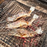 牛タンと海鮮 個室居酒屋 炭松 - 愛媛県久万高原町から直送のアマゴの塩焼き