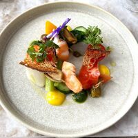 ジャヌ メルカート - 