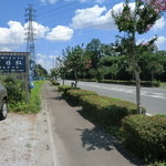 百日紅 - お店の前の道路は百日紅通り？