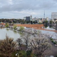 東天紅 上野店 - 