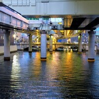 シグネチャー - 