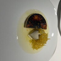 レフェルヴェソンス - 