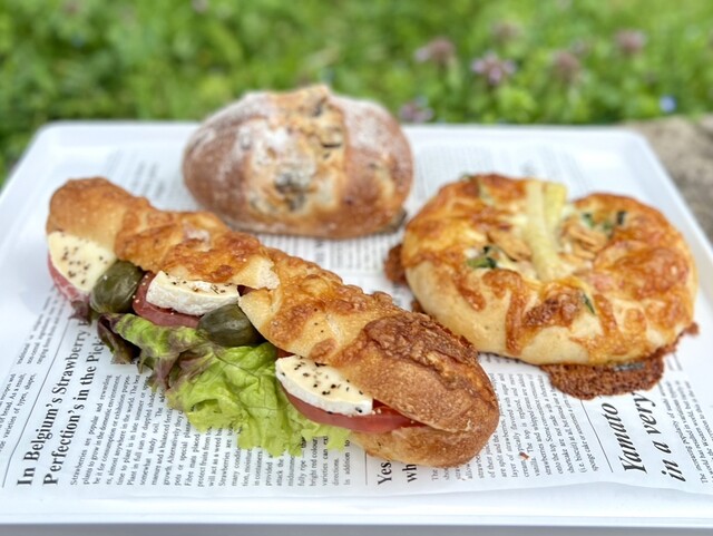 オーパスOPUS自転車アーバンZERMATT ツェルマット　引き取り限定 オーパス2014ロードモデル カーボンのVivace&Allegro、軽量アルミ