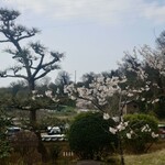 金沢犀川温泉 川端の湯宿 滝亭 - 