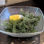 なんちち食堂 - 